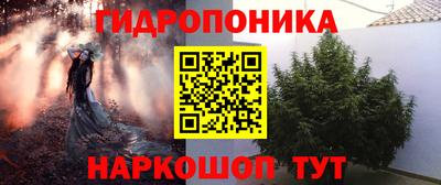 гашик Чапаевск
