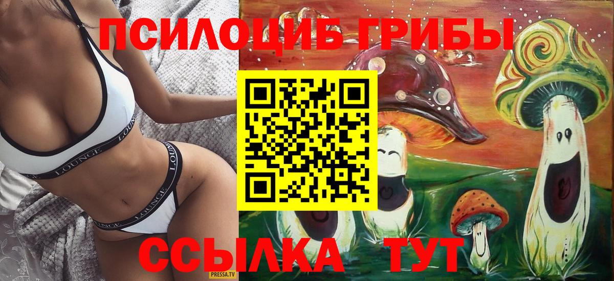 Псилоцибиновые грибы мицелий  купить наркотик  Алексеевка  Вход с VPN 